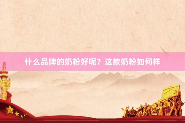 什么品牌的奶粉好呢？这款奶粉如何样